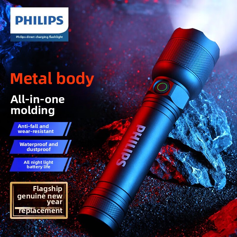 Outdoor Lighting Usa - 2025 NUOVA Philips SFL2188 Torcia a
