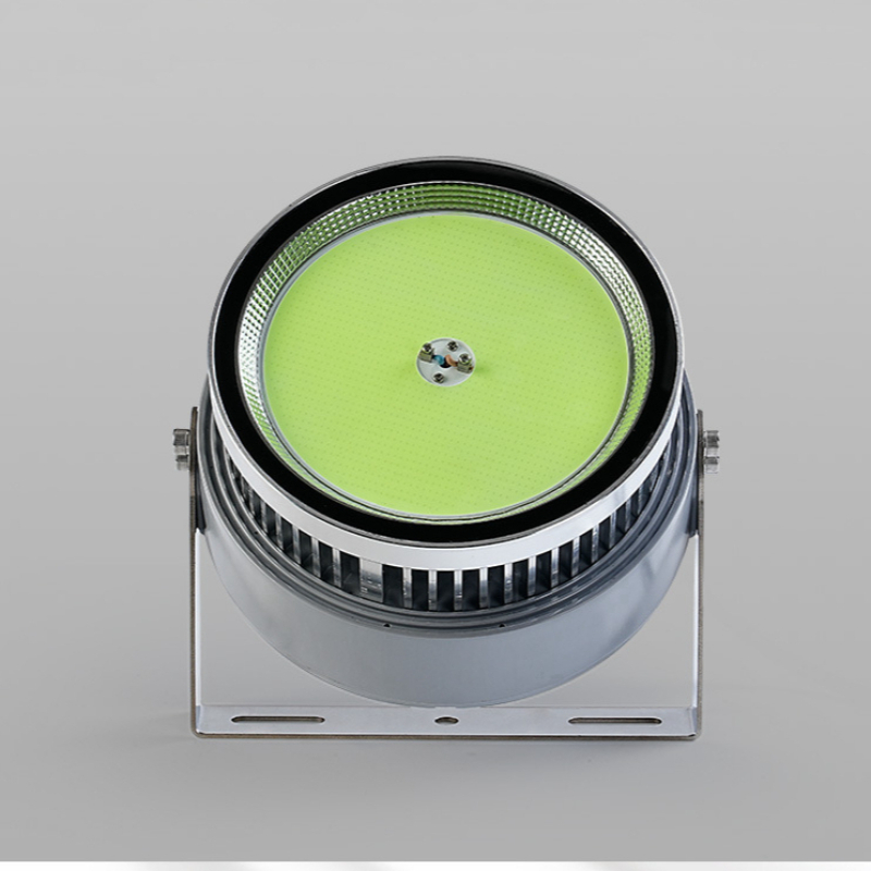 Luce per pesci a led da 1000 W - Outdoor Lighting Wall Mount recensione e prezzo