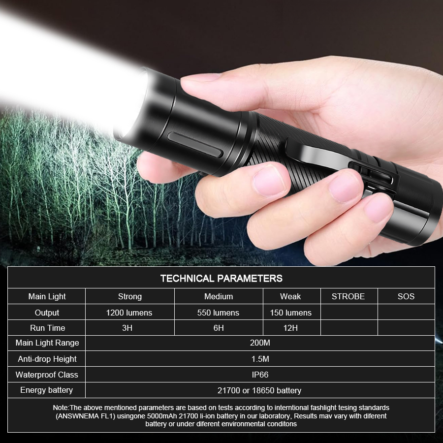 Torcia LED a fuoco fisso da 12 - Outdoor Lighting Spotlight recensione e prezzo