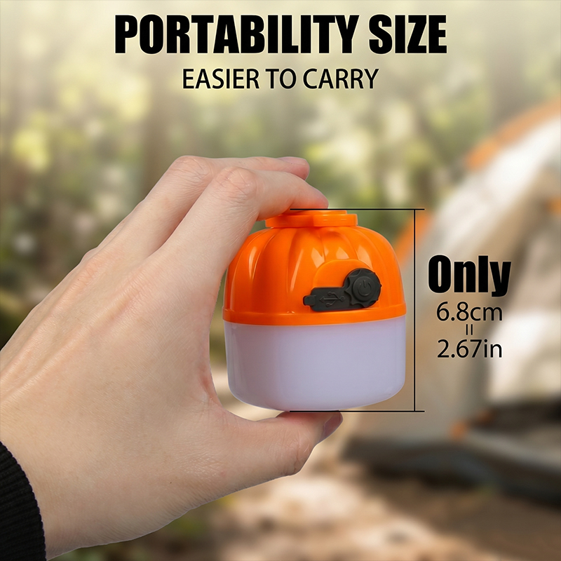 Mini Lampada LED Portatile a F - Outdoor Lighting Electric recensione e prezzo