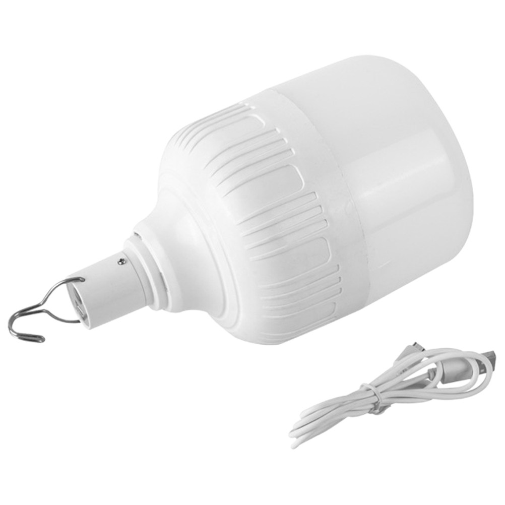 Lampadina LED di Emergenza per - Outdoor Lighting Vendor recensione e prezzo