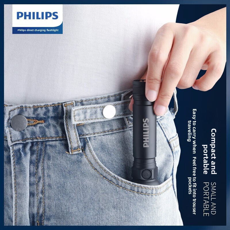 2025 NUOVA Philips SFL2188 Tor - Outdoor Lighting Usa recensione e prezzo