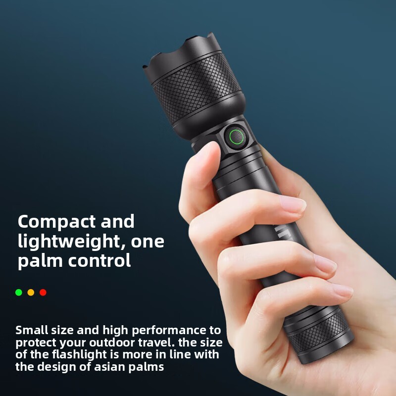 2025 NUOVA Philips SFL2188 Tor - Outdoor Lighting Usa recensione e prezzo