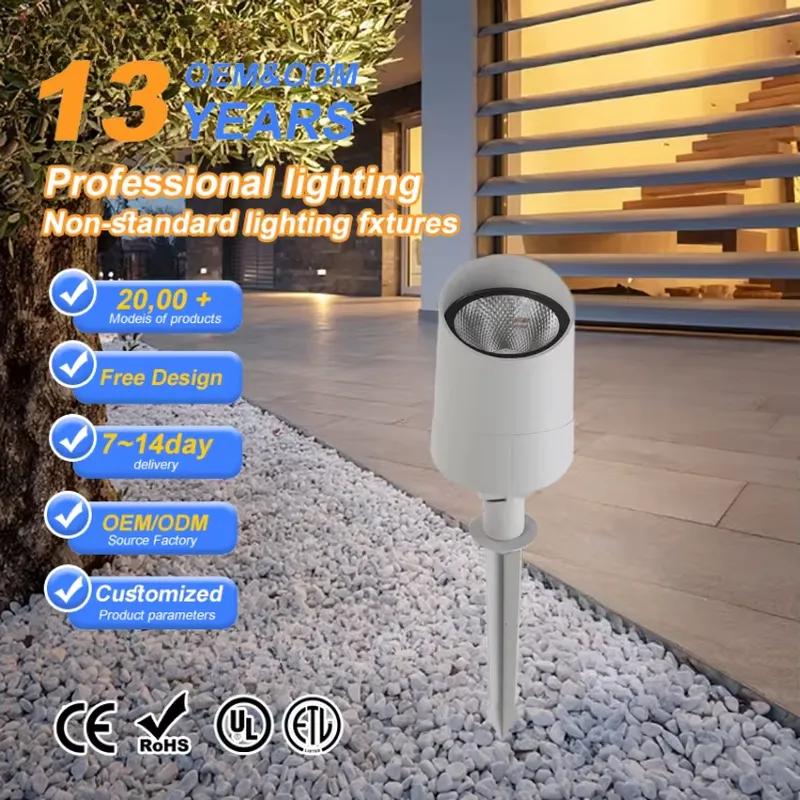 Faro LED COB da Esterno 9W-40W - Led Flood Light recensione e prezzo